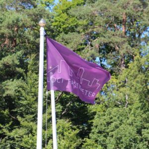 Flagga med clips 150x100